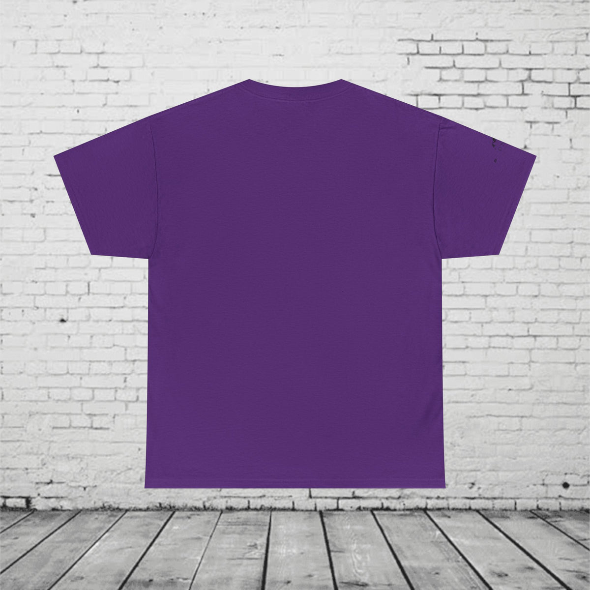 PNW Triangle Mountain T-Shirt - Minimalist Pacific Northwest Outdoor Graphic Tee