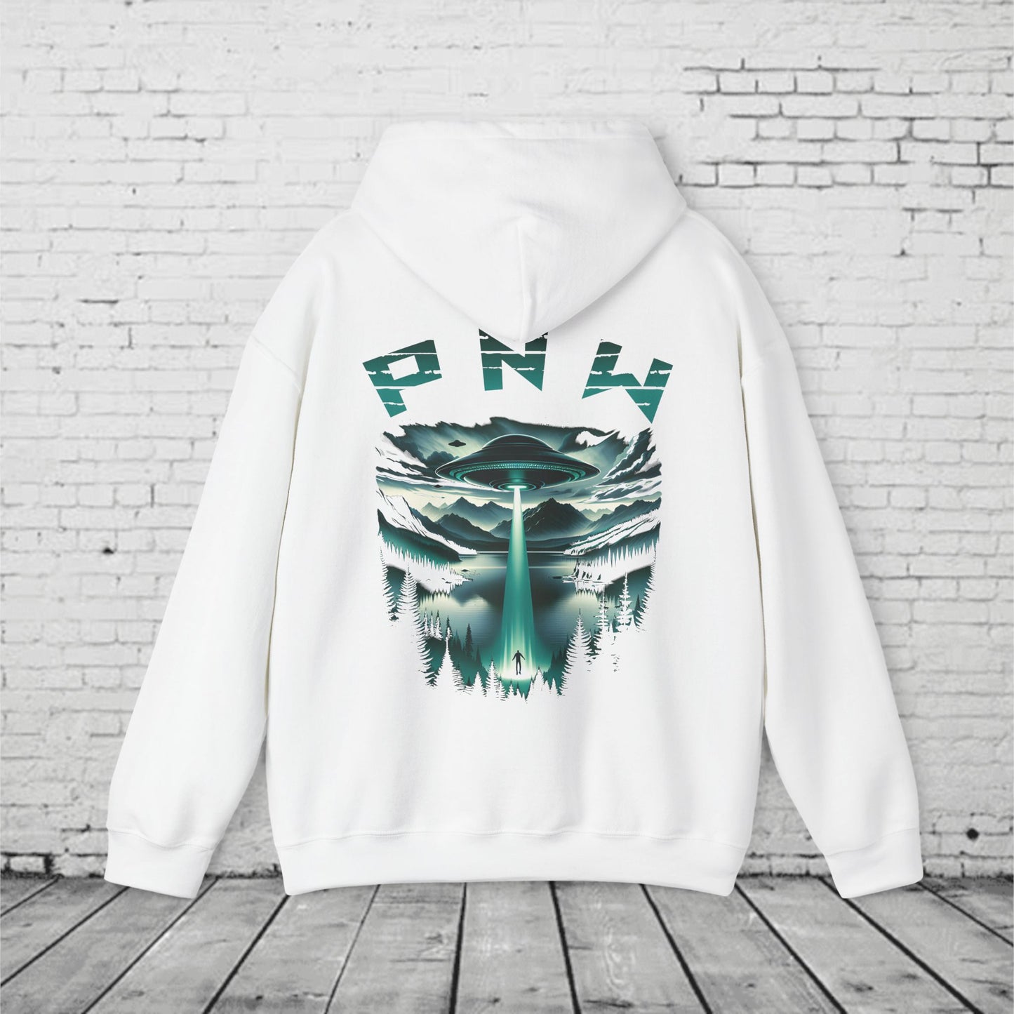 PNW Alien Abduction Hoodie – Retro UFO Pacific Northwest Sci-Fi Sweatshirt