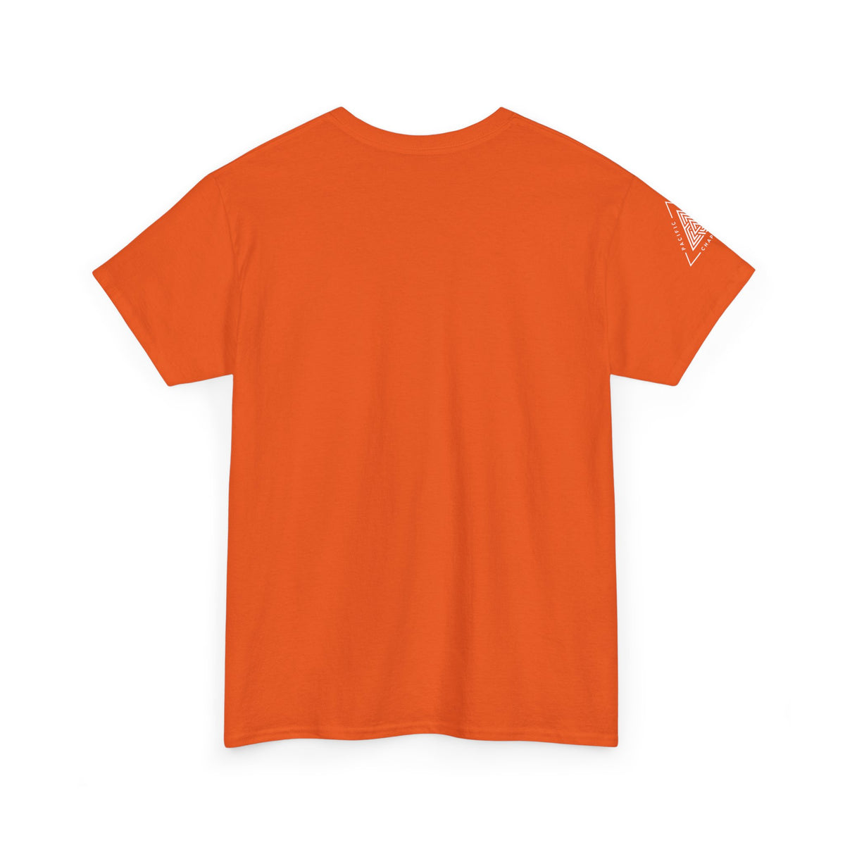 Pacific Northwest Chapter T-Shirt | Geometric Triangle PNW Design | Minimalist Outdoor Graphic Tee