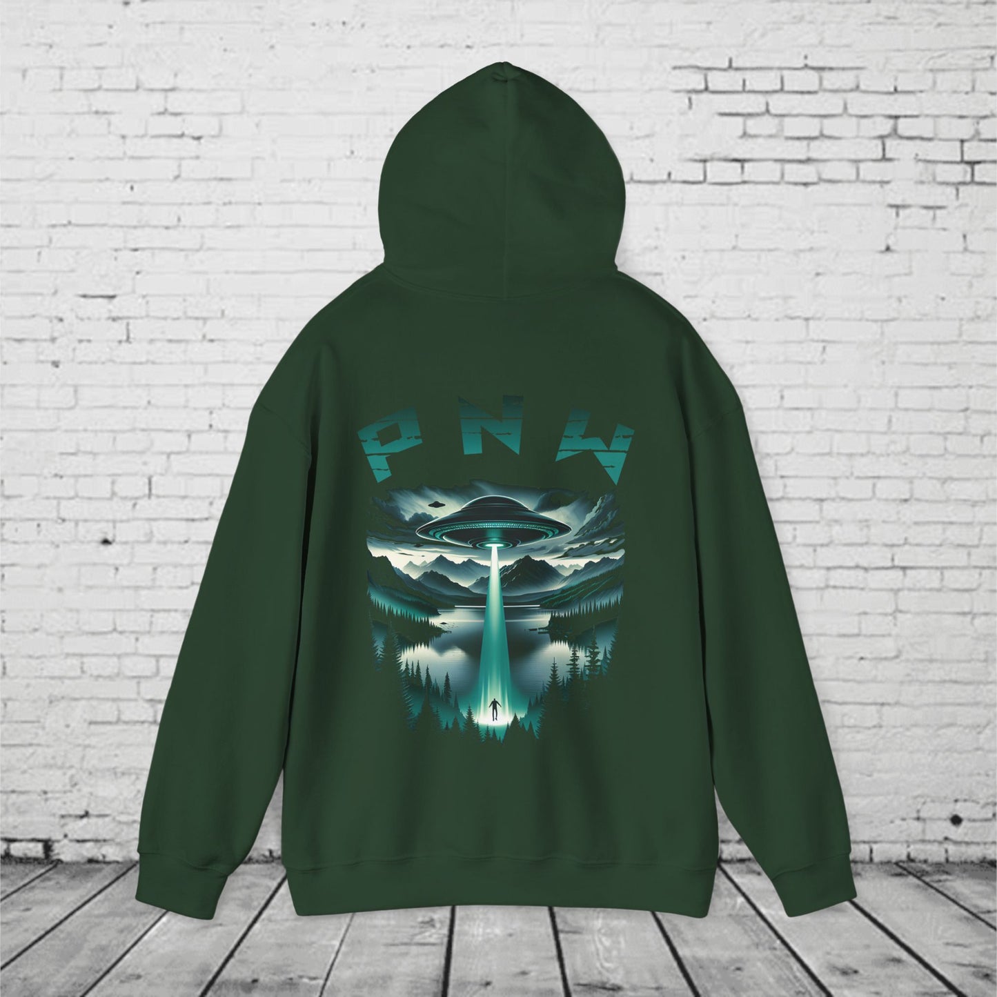 PNW Alien Abduction Hoodie – Retro UFO Pacific Northwest Sci-Fi Sweatshirt