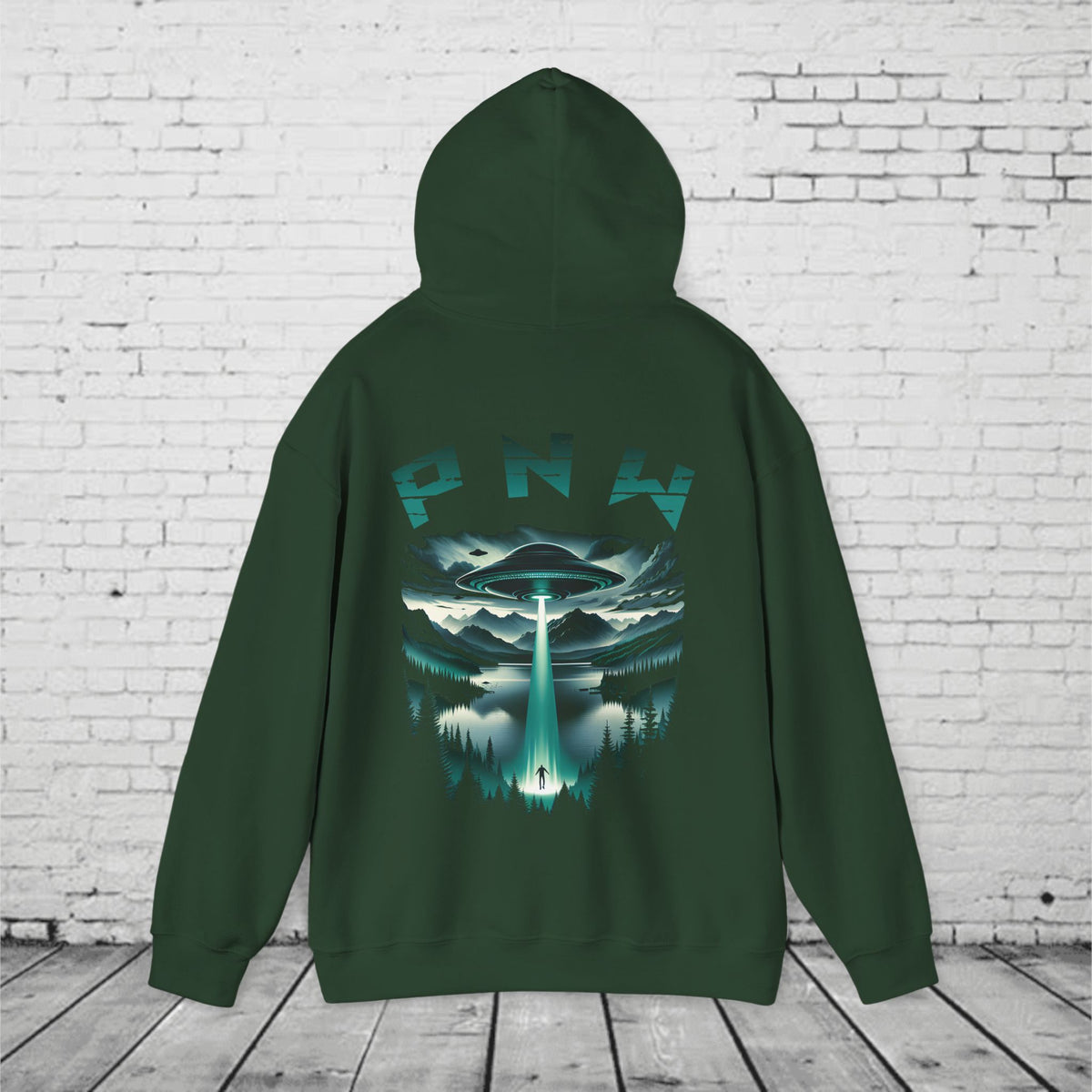 PNW Alien Abduction Hoodie – Retro UFO Pacific Northwest Sci-Fi Sweatshirt