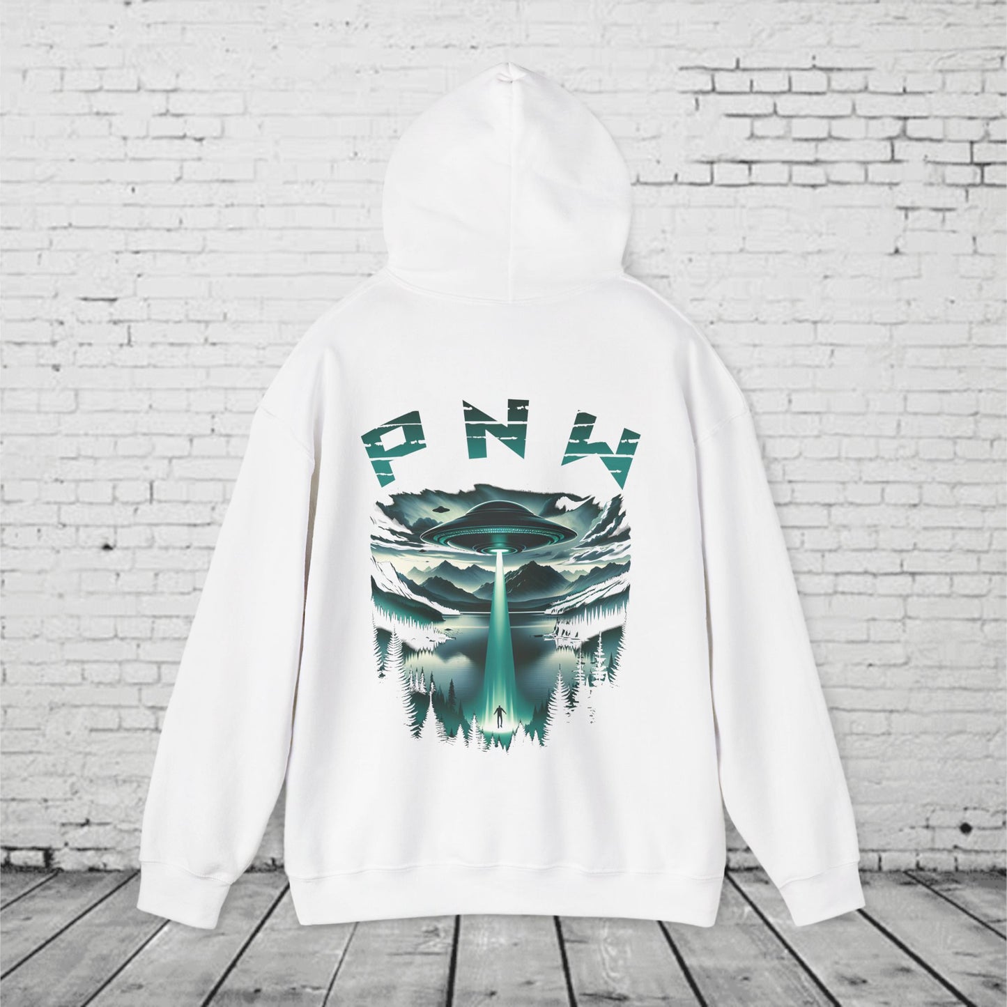 PNW Alien Abduction Hoodie – Retro UFO Pacific Northwest Sci-Fi Sweatshirt