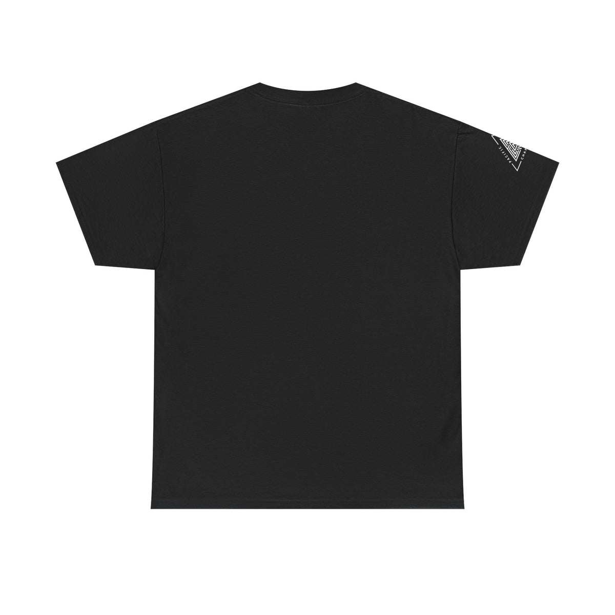 Pacific Northwest Chapter T-Shirt | Geometric Triangle PNW Design | Minimalist Outdoor Graphic Tee