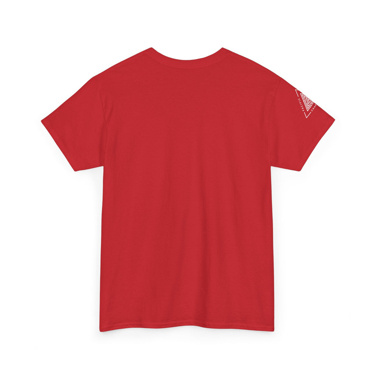 Pacific Northwest Chapter T-Shirt | Geometric Triangle PNW Design | Minimalist Outdoor Graphic Tee