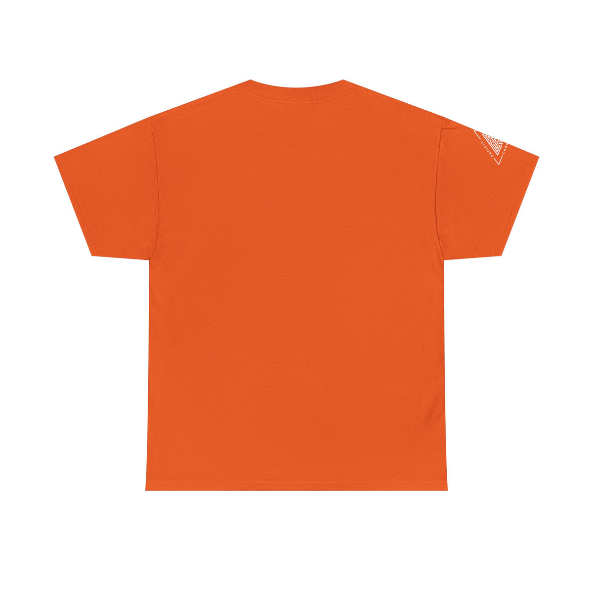 Pacific Northwest Chapter T-Shirt | Geometric Triangle PNW Design | Minimalist Outdoor Graphic Tee