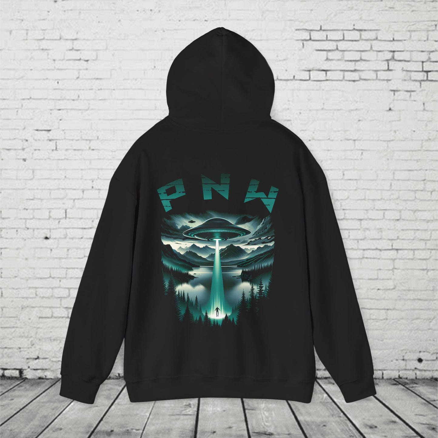 PNW Alien Abduction Hoodie – Retro UFO Pacific Northwest Sci-Fi Sweatshirt