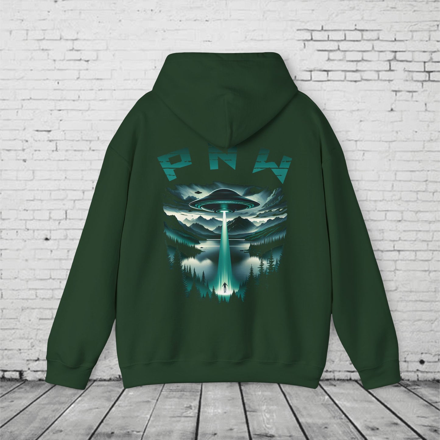 PNW Alien Abduction Hoodie – Retro UFO Pacific Northwest Sci-Fi Sweatshirt