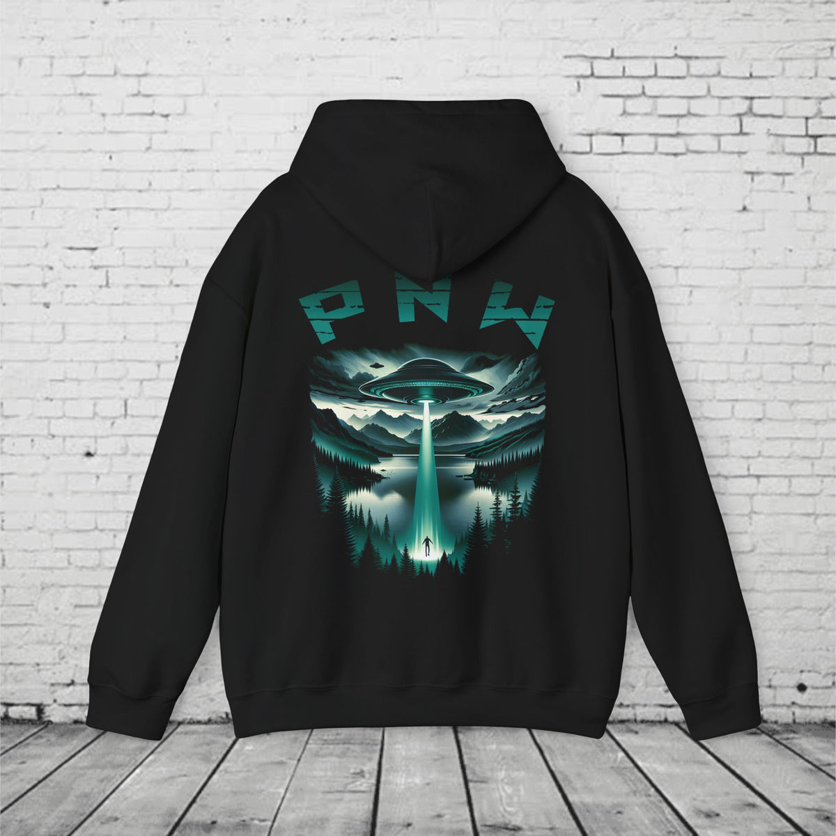 PNW Alien Abduction Hoodie – Retro UFO Pacific Northwest Sci-Fi Sweatshirt